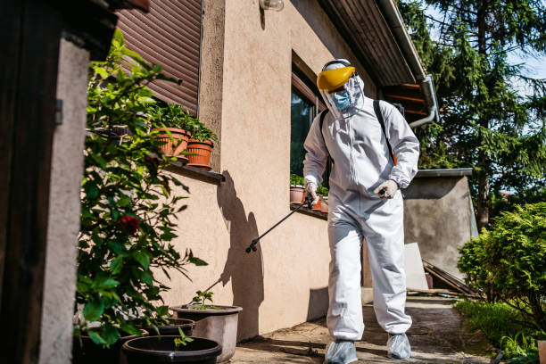 Best Flea Control Services  in Edina, MN