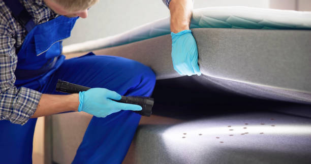 Best Cockroach Control Services  in Edina, MN