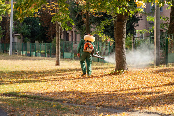 Best Best Pest Control Companies  in Edina, MN