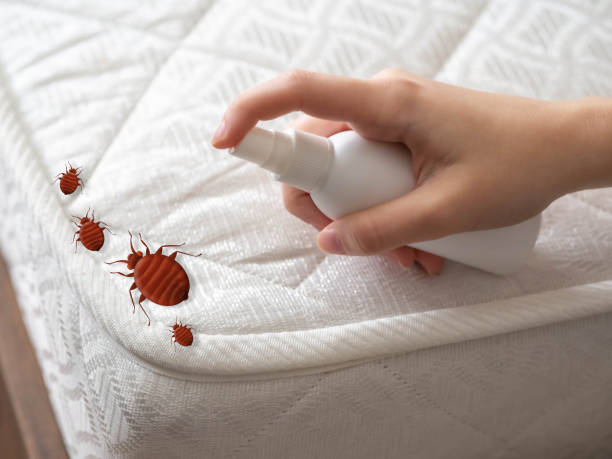 Reliable Edina, MN Pest Control Solutions