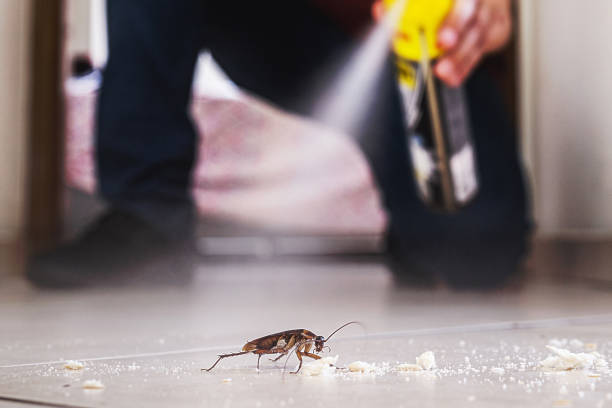 Best Commercial Pest Control Services  in Edina, MN