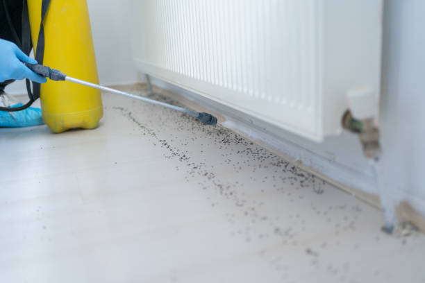 Best Wildlife Control Services  in Edina, MN