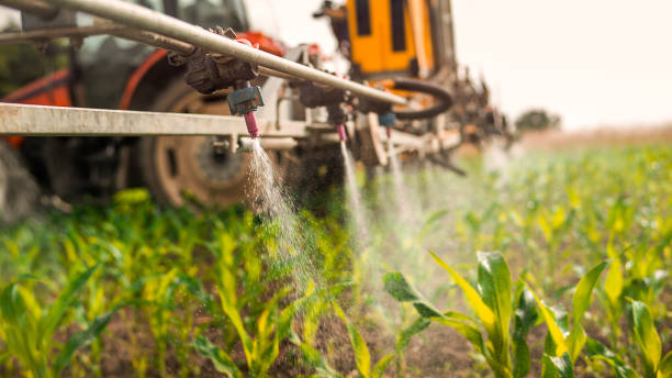 Best Ant Control Services  in Edina, MN