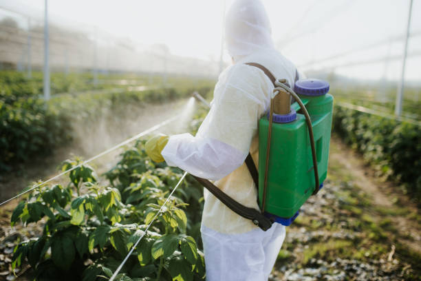 Best Emergency Pest Control  in Edina, MN